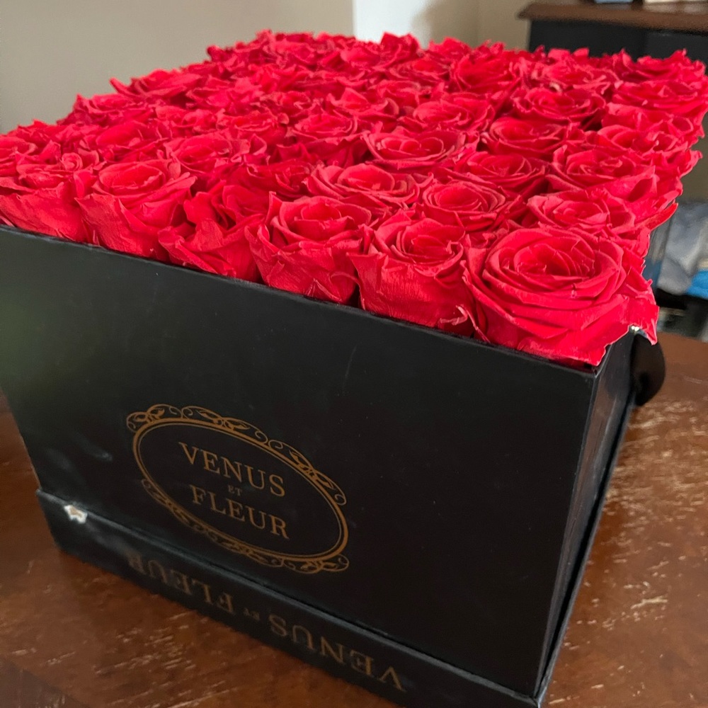 Venus et Fleur Classic Large Square Red Roses NEW